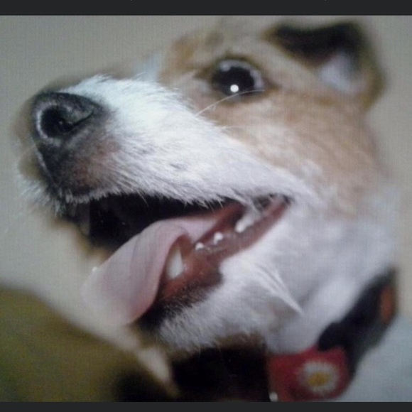 Meet your Posher, Jill - Picture 14 of 16